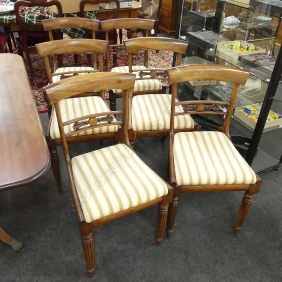 6 19thC MAHOGANY DINING CHAIRS