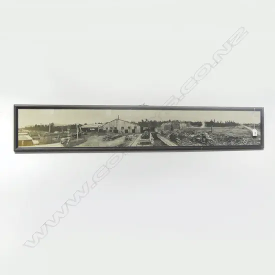 1936 VINTAGE PANORAMIC PHOTO OF POKAKA SAWMILL 180x1215mm