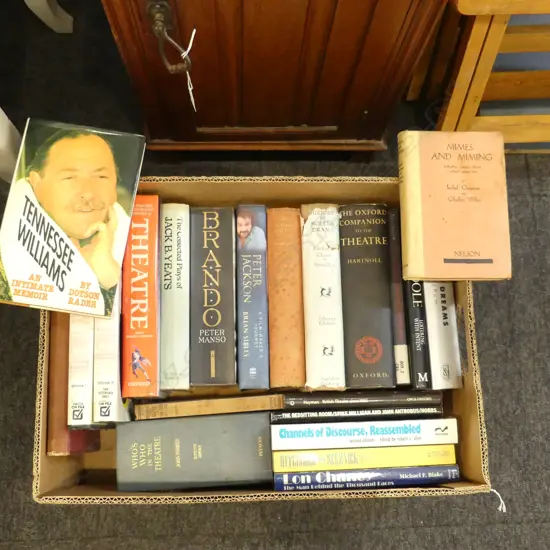 BOOKS; THEATRE INTEREST