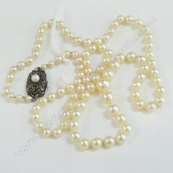 SINGLE STRAND PEARL NECKLACE BY MIKIMOTO (Mikimoto clasp)