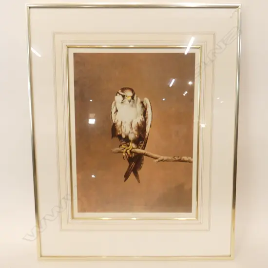 RAYMOND CHING 'FALCON' PRINT 37/850 510x370mm