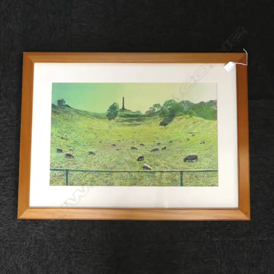 PETER A. BROCK, ONE TREE HILL, OIL 1995 370x600mm