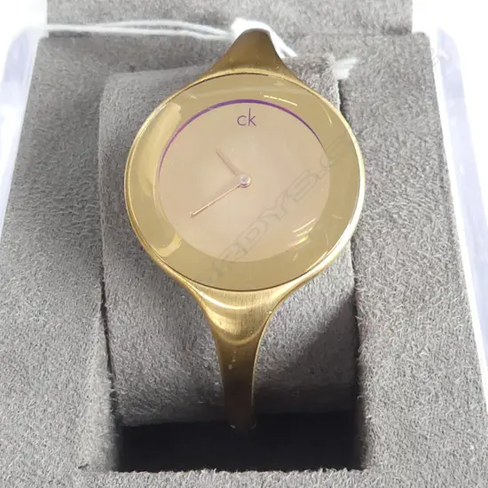 DKNY CALVIN KLEIN WRIST WATCH IN  ORIGINAL BOX 