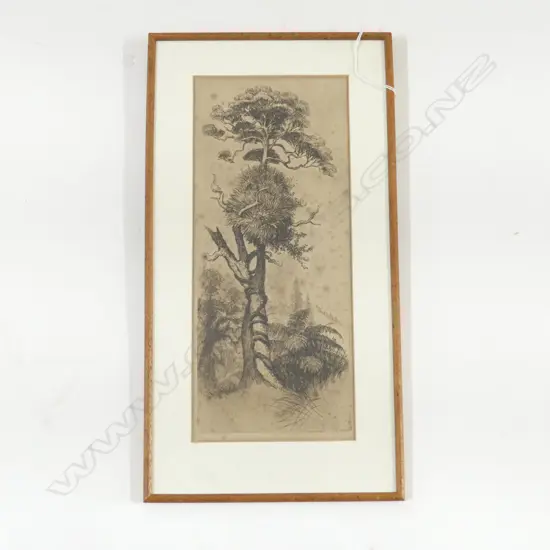 TREVOR LLOYD ETCHING, TALL TREE, 340x150mm, FOXING