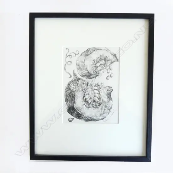SYLVIA SIDDELL 'CUT PUMPKIN', PENCIL ON PAPER, SIGNED, 200 x 150mm