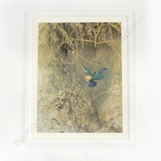 RAYMOND CHING KINGFISHER PHOTOGRAPHIC PRINT, 700 x 500mm