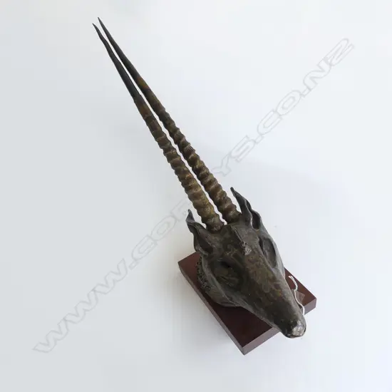 'Arabian princess' high-fire ceramic bronze faux glaze and arabian real oryx horns,