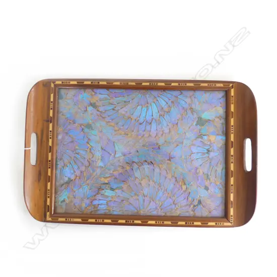 VINTAGE BUTTERFLY WING TRAY w MAQUETRY EDGING L.520 x 330mm