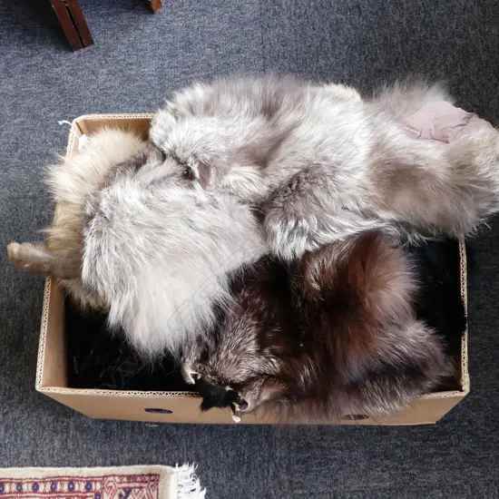 ASST. FURS; COAT, JACKET, 4 STOLES