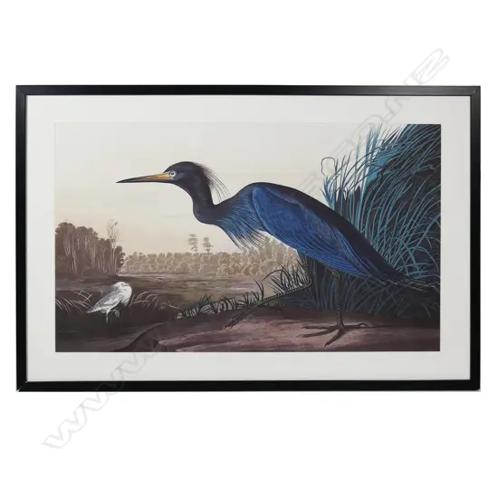 A large framed print of a Blue Heron,