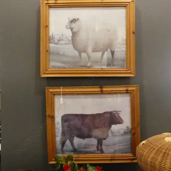 PR ANTIQUE STYLE LIVESTOCK PRINTS; SHEEP & COW 390x490mm