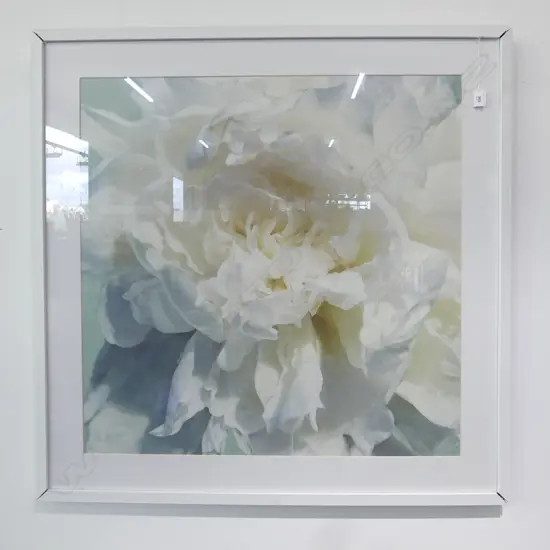LG WHITE ROSE PRINT 800x800mm FRAME AF