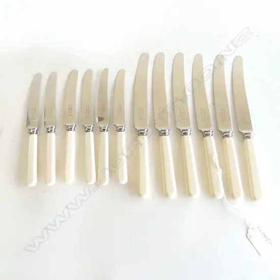 12 IVORINE 'BONE' HANDLED KNIVES, 6x230mm, 6x180mm
