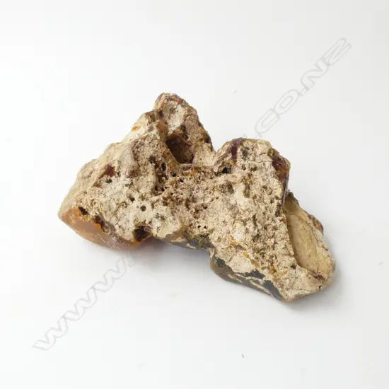 KAURI GUM PIECE W.200mm