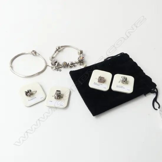 PANDORA STG BRACELETS & CHARMS