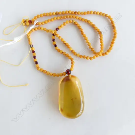 AMBER 'LOOK' BEADED NECKLACE