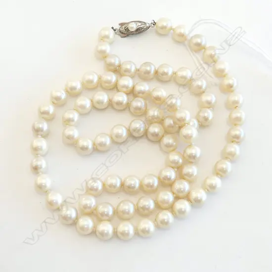 AKOYA PEARL NECKLACE - 75 PEARLS