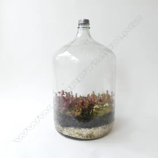 LG TERRARIUM - ORIG 1970S LG DEMIJOHN 3M BOTTLE, STAMPED 1977 TO BASE, H. 540MM