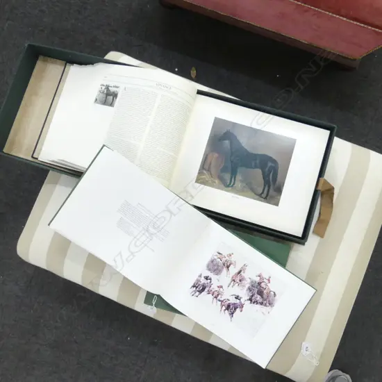 2 CASED BOOKS; ALISTER TAYLOR 'NOTABLE NZ THOROUGHBREDS' & PETER BIEGELS RACING PICTURES