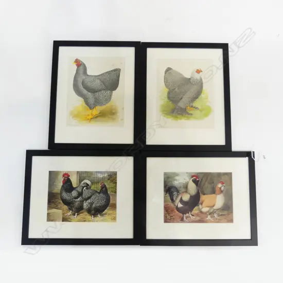 4 CHICKEN PRINTS 170x230mm