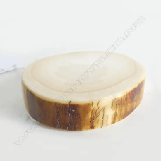 MAMMOTH TUSK IVORY POLISHED DISC SECTION 60 X 50MM