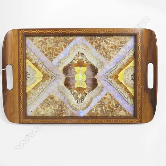 BUTTERFLY WING TRAY 340x530mm