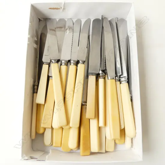 27 ASSTD. VINTAGE ‘BONE’ HANDLE KNIVES