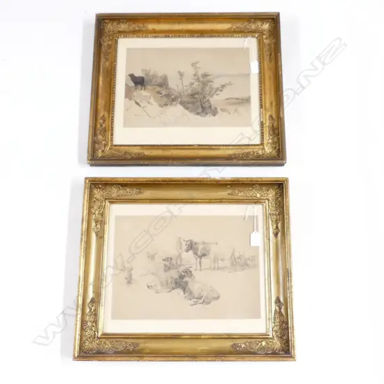 2 FINE 19thC DANISH ? INK & W/C STUDIES COWS + SHEEP IN COASTAL LANDSCAPE. 230 X 340mm IN ANTIQUE GILT FRAMES.PROV...