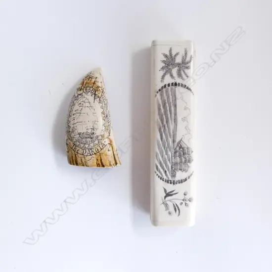 2 SCRIMSHAW; LONG BONE BOX L.160mm, RESIN TOOTH