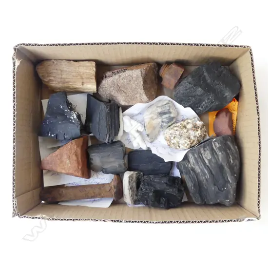 SMALL COLLECTION ROCKS CORAL ETC