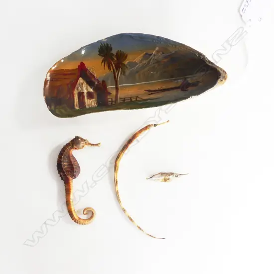 N.Z. PAINTED MUSSEL SHELL w. MAORI MOTIF L.145mm, 2 SEAHORSE & OTHER