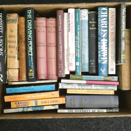 BOOKS; EVOLUTION ETC