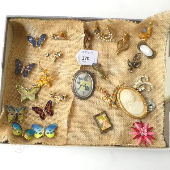 ASST COSTUME BROOCHES 