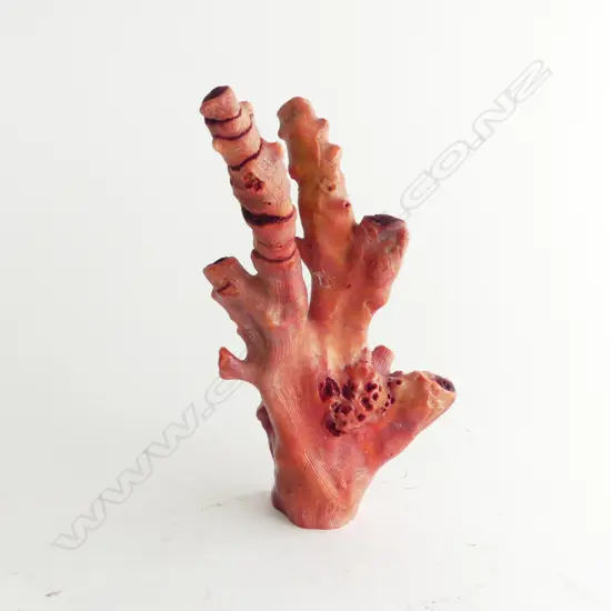 OLD RED/ORANGE CORAL SECTION H.175mm