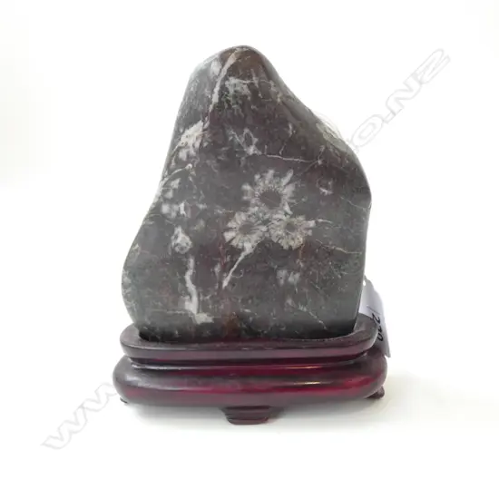 FOSSIL FLOWER IN ROCK SCHOLARS ROCK in stand. H.135mm