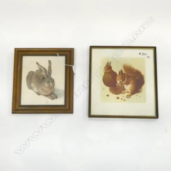 2 DURER PRINTS; SQUIRRELS & RABBIT 235x205mm