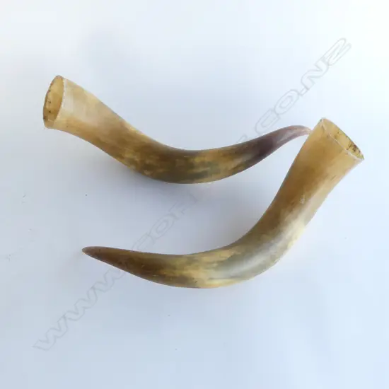 PR LONG HORNS L.400mm