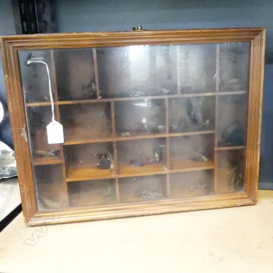 ASST FLIES IN DISPLAY CABINET, 310x65x405mm