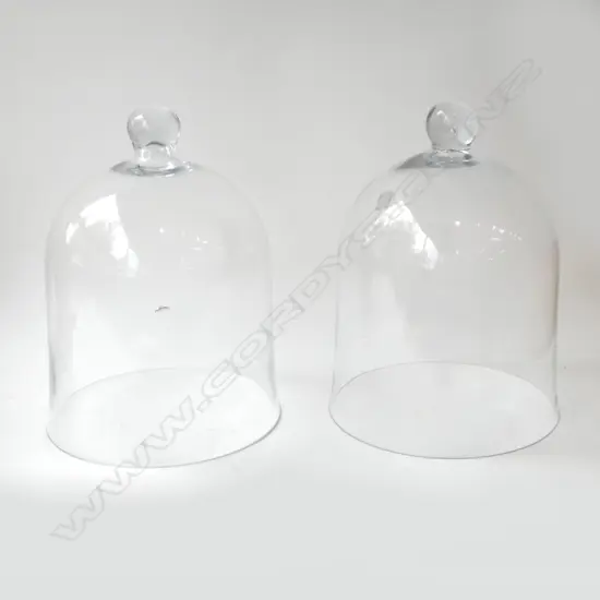 PR LG GLASS CLOCHES, Dia.290mm