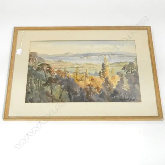 BIRTCHNELL DELPH W/C, 350x520mm