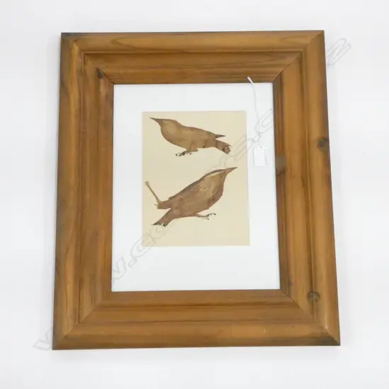 JOHN WEEKS, THRUSHES, WC 290x170mm