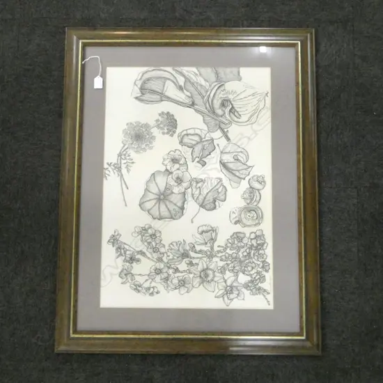 VIRGINA BECROFT, PENCIL DRAWING OF PLANTS, '86 480x690mm
