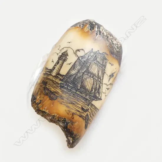 VINTAGE SCRIMSHAW BULUGA WHALES TOOTH H30MM