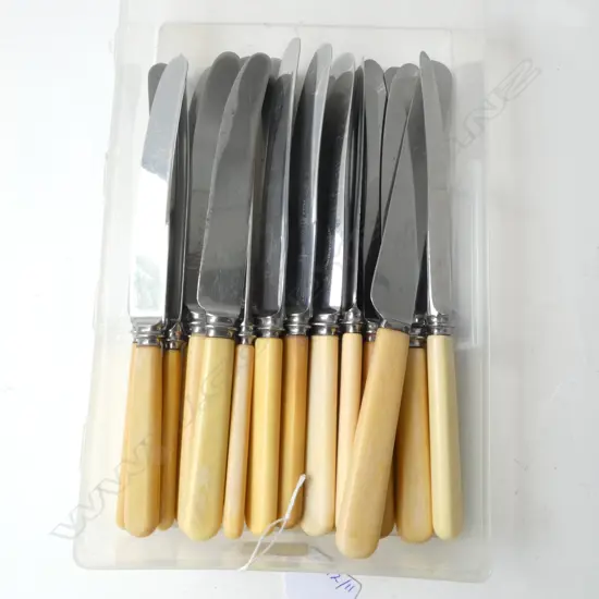 22 VINTAGE ‘BONE’ HANDLE DINNER KNIVES 