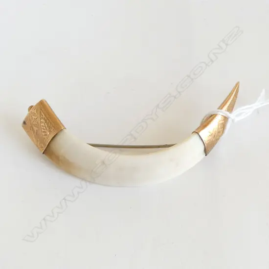 15ct GOLD MOUNTED TUSK BROOCH W.90mm engraved gold mounts 16gms total