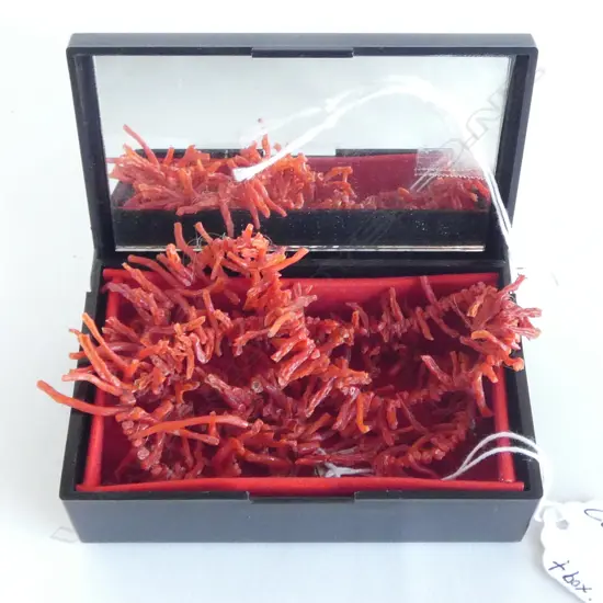 MEDITERRANEAN CORAL BRANCH NECKLACE in box