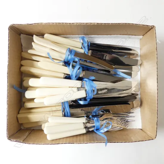 ASST IVORINE HANDLED KNIVES; 10 LG KNIVES, 13 SML KNIVES, 6 FISH SERVERS, 6 PATE