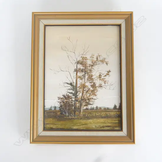 (25429) JUDITH MORETON OIL 'NEAR TE AROHA WEST II' 1975 265 X 190mm