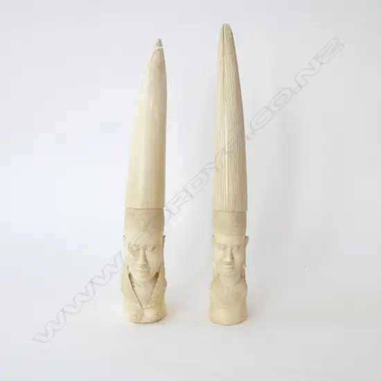 2 AFRICAN IVORY TUSKS H.300mm