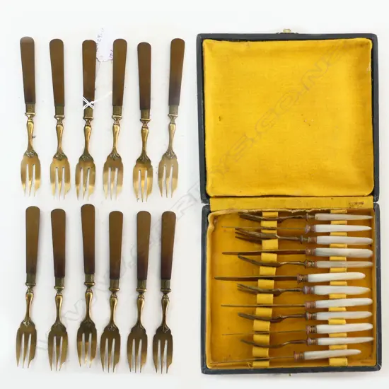 CASED MOP CUTLERY & 12 DESSERT FORKS